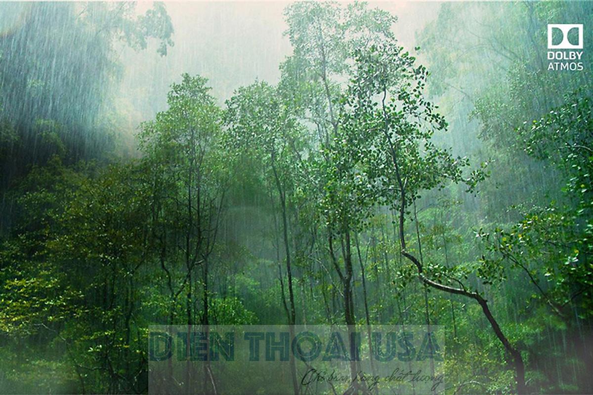 6425b2f9955b6da47f6f4102686b4e8c.jpg 6425b2f9955b6da47f6f4102686b4e8c