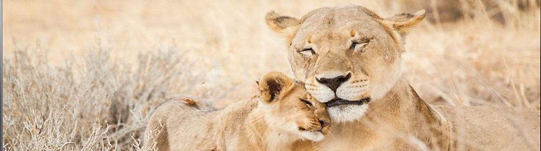 9b6fdffa7949d53c9820669b292409d2.jpg 9b6fdffa7949d53c9820669b292409d2 e1594375801813