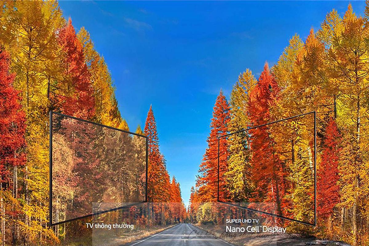 ecdf0a0b7c4649b4fa758a507124d19f.jpg ecdf0a0b7c4649b4fa758a507124d19f